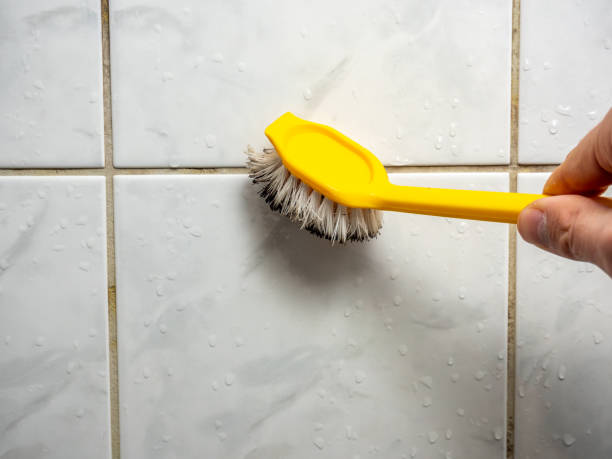 Best Mold Damage Repair  in Loch Sheldrake, NY